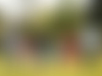 The Power of Connection: Strengthening Relationships at Every Age