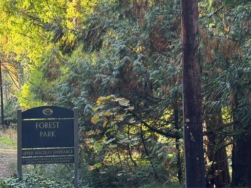 walking adventure in Forest Park and NW Portland