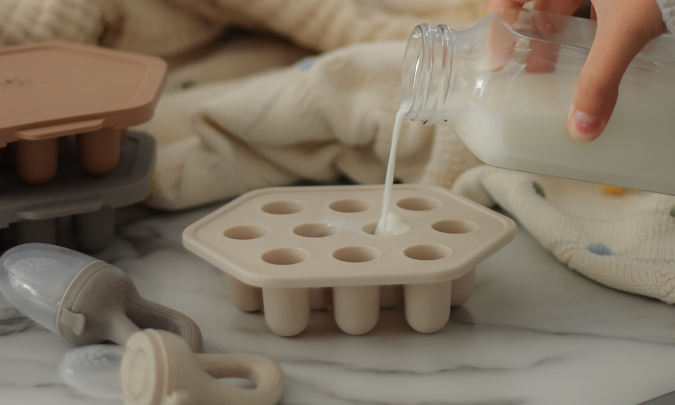 reezer Tray for Food Teether with milk portions