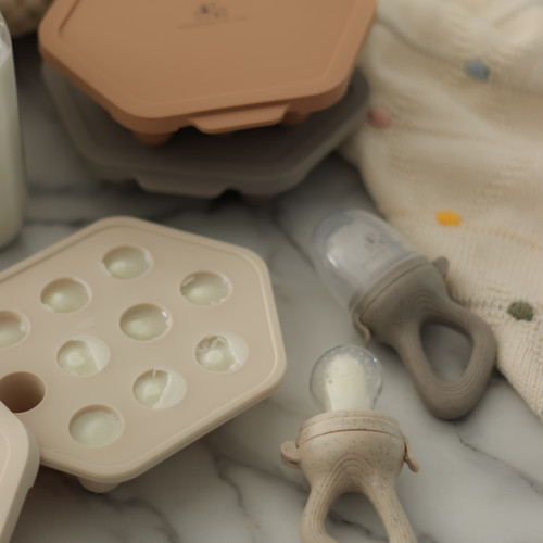 Btrfe Moules à Sucettes Glacées Lait Maternel Avec Tétine Bébé - Plateau Silicone Et Mangeoire Fruits Dinosaure