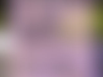 【11/30(日)まで】まとめ買いがお得！COTA商品ご予約キャンペーン実施中