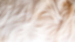 AdobeStock_477931866.jpeg
