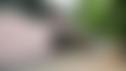 Denial of Visas to Ghanaian Artists: A Controversy at the Venice Biennale