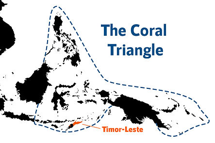 Timor Leste.jpg