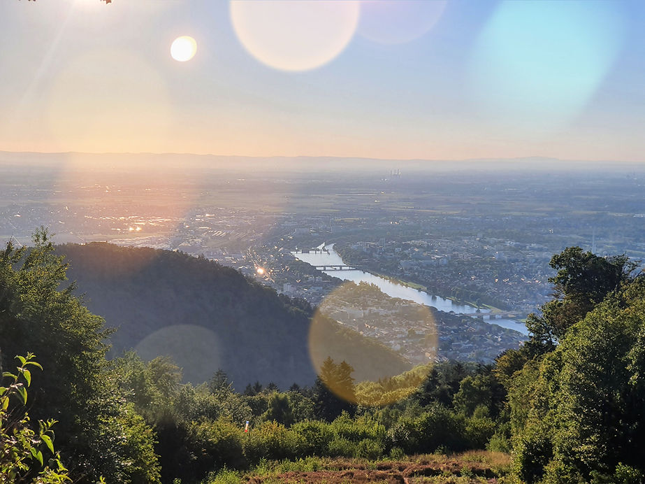 Heidelberg%20von%20oben_edited.jpg