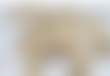 Kate’s Coronavirus lockdown blog: Finding activities and things to do