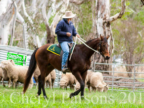 Stockman's Challenge
