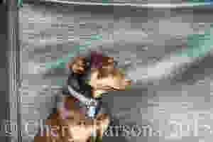 Nah, not happenin'!!