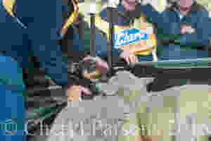 Oh man, do I have to??