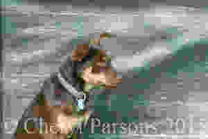 You want me to do what?