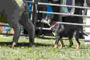 Yep, that's a long way up there