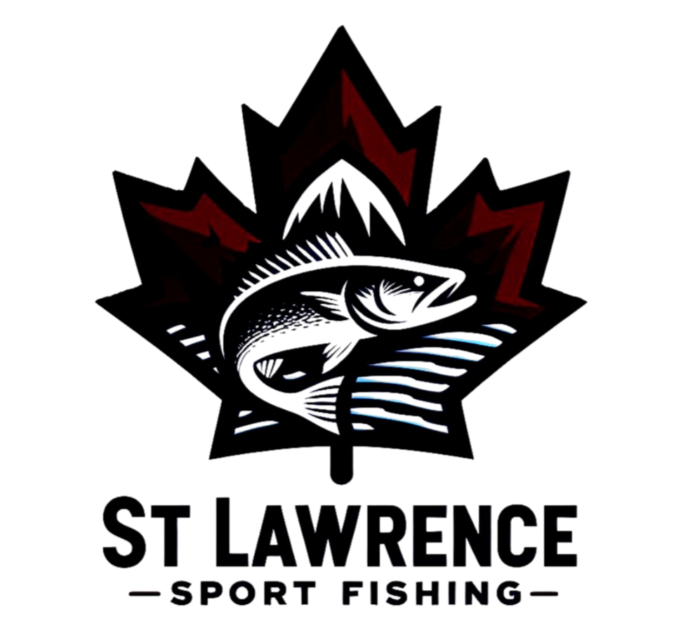 Untitled design (19)_edited.png