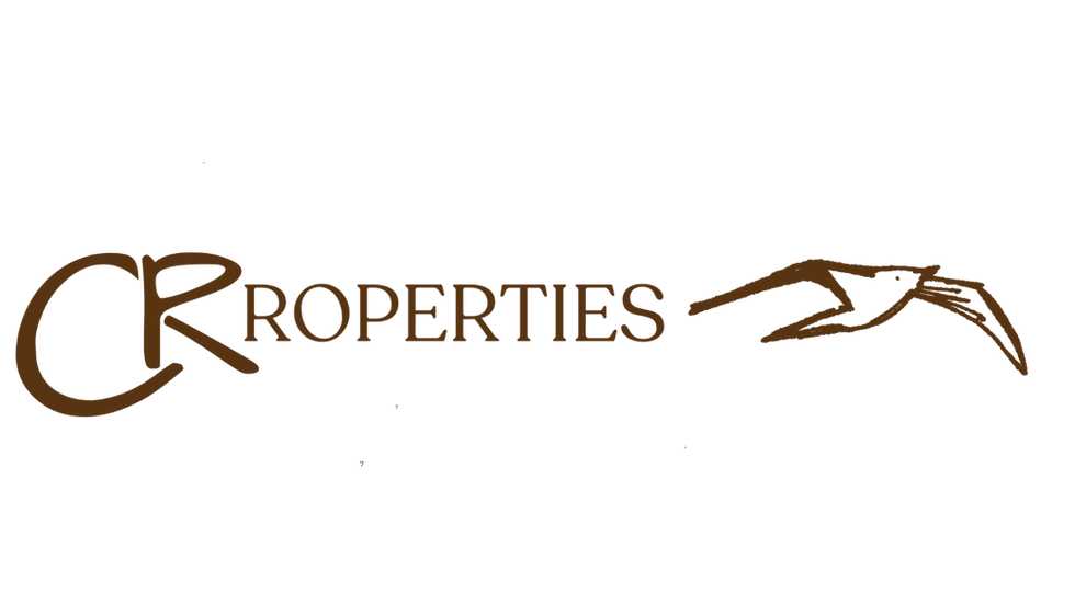 CR_Properties_Brand_Kit_Presentation 12.png