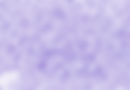 Untitled_Artwork 50.png
