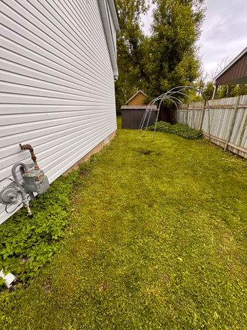 Lawn with garbage removed