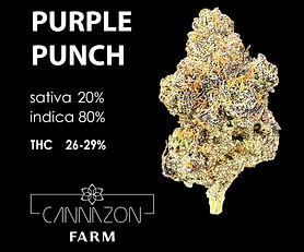 Purple Punch