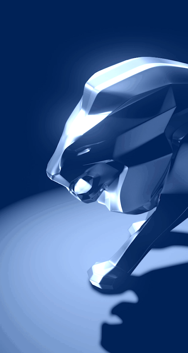 640X1200-Opening-Screen.gif