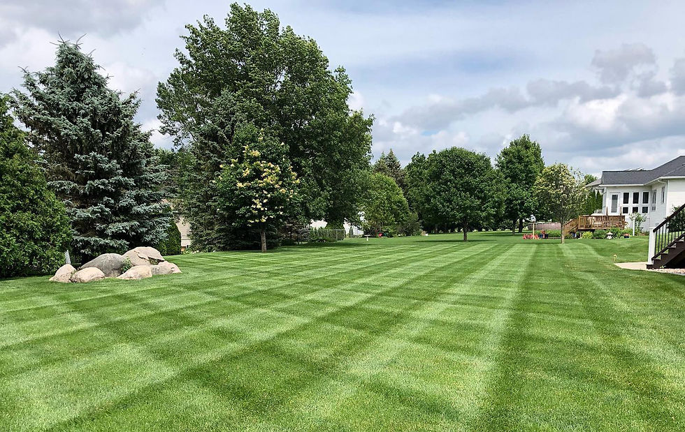 Nicely mowed lawn