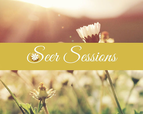 seer sessions thumbnail.jpg