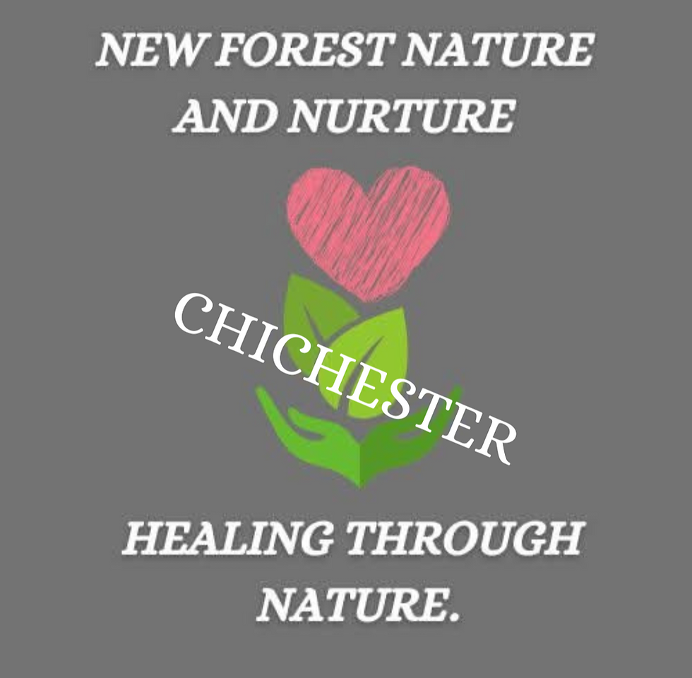 A journey of self discovery, intuition and limitless healing 