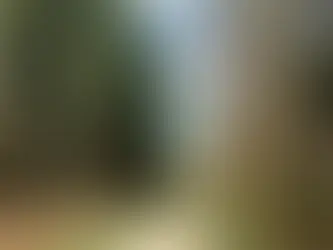 Celebrating the beauty of nature.