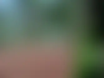 Searching for signs of spring.