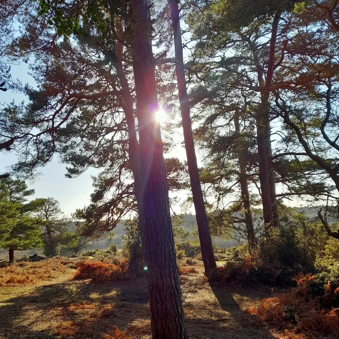 *FULLY BOOKED*Setthorns circular walk