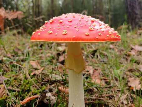 stopping to hold my breath