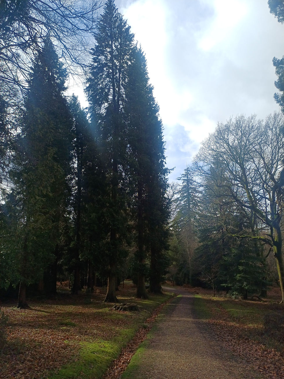 They can try and tame us...