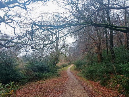 A full moon morning.