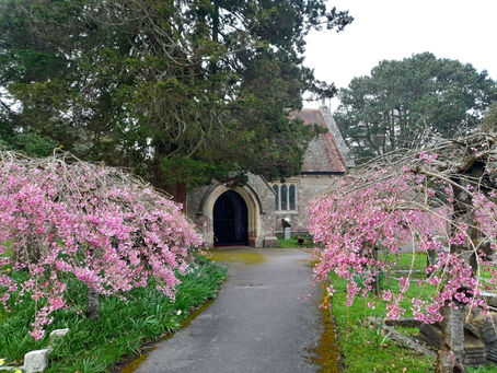 Cherry blossom Chapel