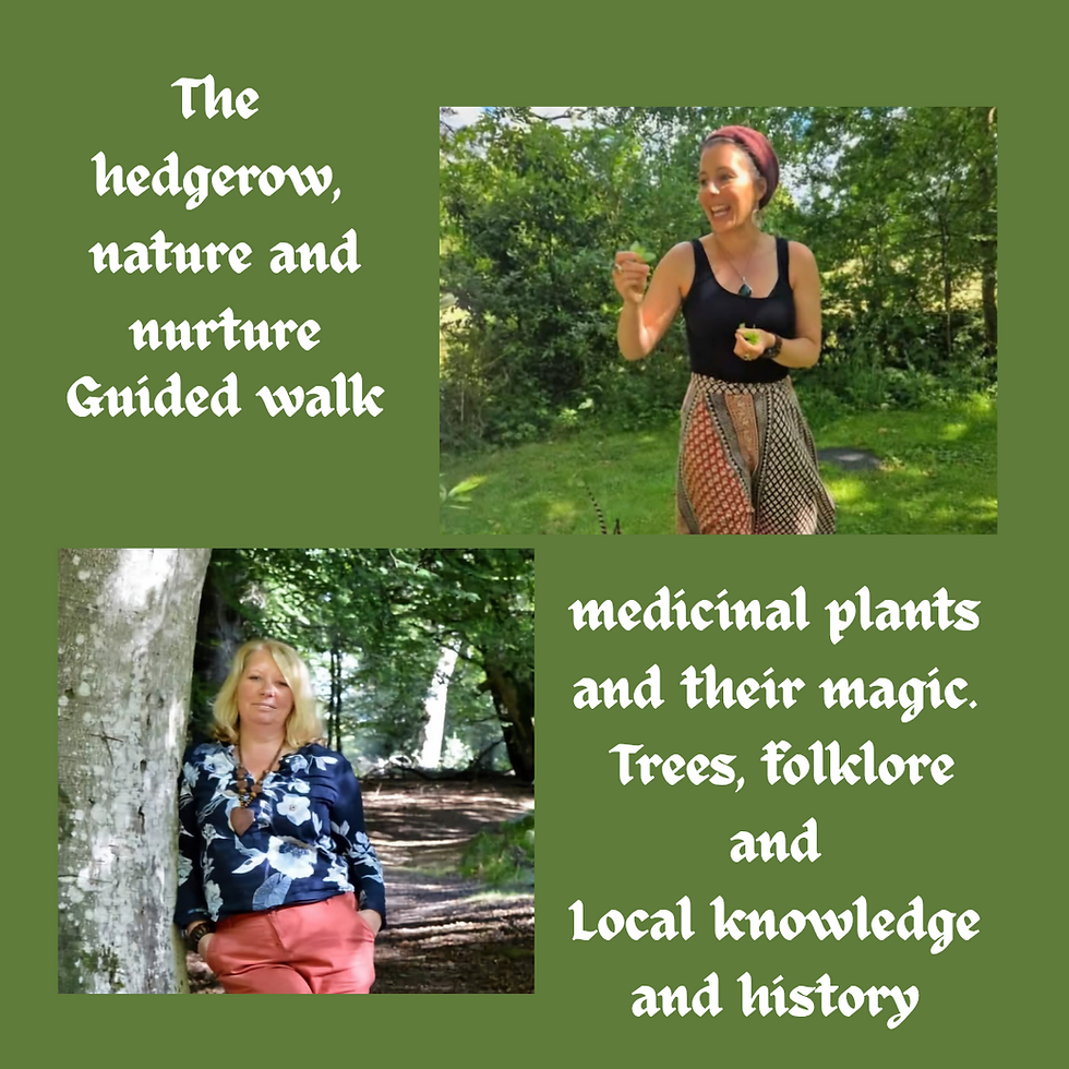 Hedgerow, nature and nurture guided walk