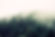 Misty Woodland
