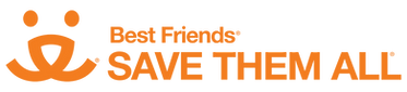 BF STA_Horizontal_Process_Orange.png