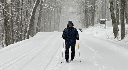 Snowshoeing on path