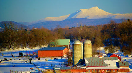 Vermont Farm