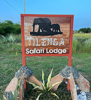 tilengasi.jpeg