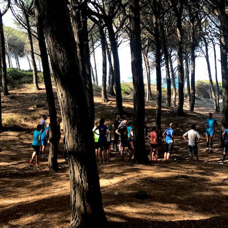 NEUER LAUFKURS ANFANG SEPTEMBER | Lauftherapie, Laufkurse, Lauftraining, Lauftechnik