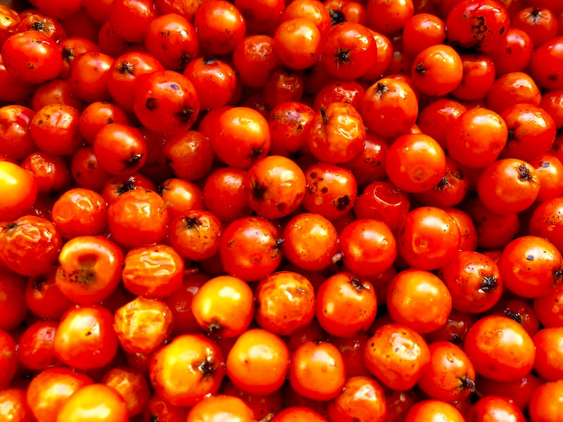 Laufinstinkt.de - Vogelbeer-Apfel-Marmelade Bild 3