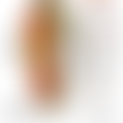 ERNÄHRUNGSEMPFEHLUNGEN | Laufinstinkt+®