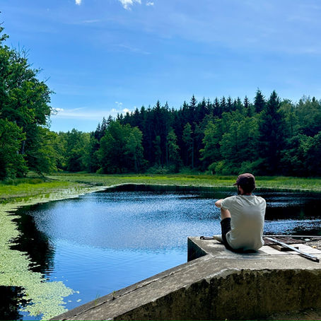 Laufstrecke UM DEN EXOTENWALD | Laufinstinkt+® angewandte Lauftherapie 