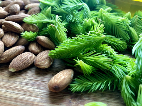 PESTO & GREMOLATA