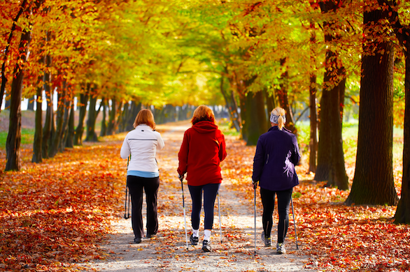 Gelenkschonendes Nordic Walking | Laufinstinkt+®