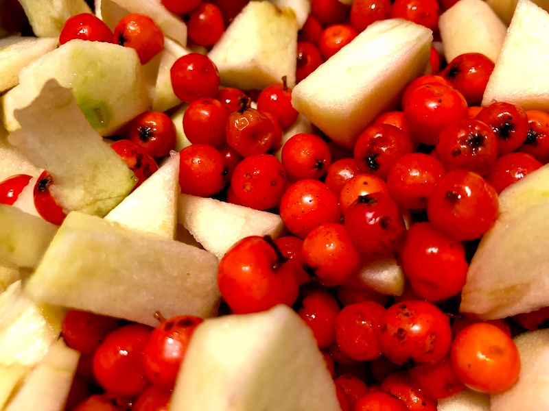 Laufinstinkt.de - Vogelbeer-Apfel-Marmelade Bild 4