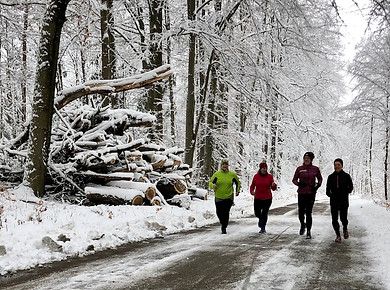 Laufinstinkt+® Hybrid-Trainees beim Lauftraining