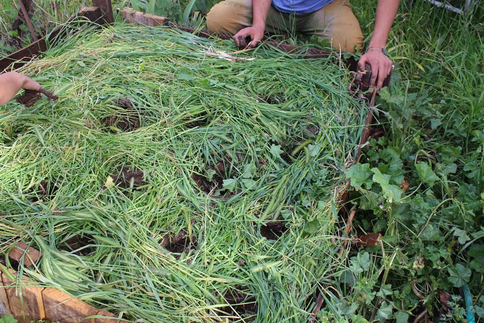 22552689_1813853342239893_3074471608145730930_n