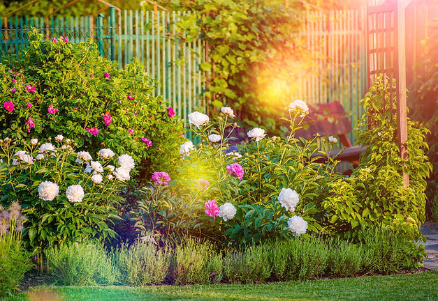 AdobeStock_112495079.jpeg