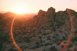 Creative-Roots-Retreat-Joshua-Tree-Hot-Springs-Yoga-Ayurveda