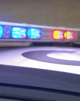 cop2.gif