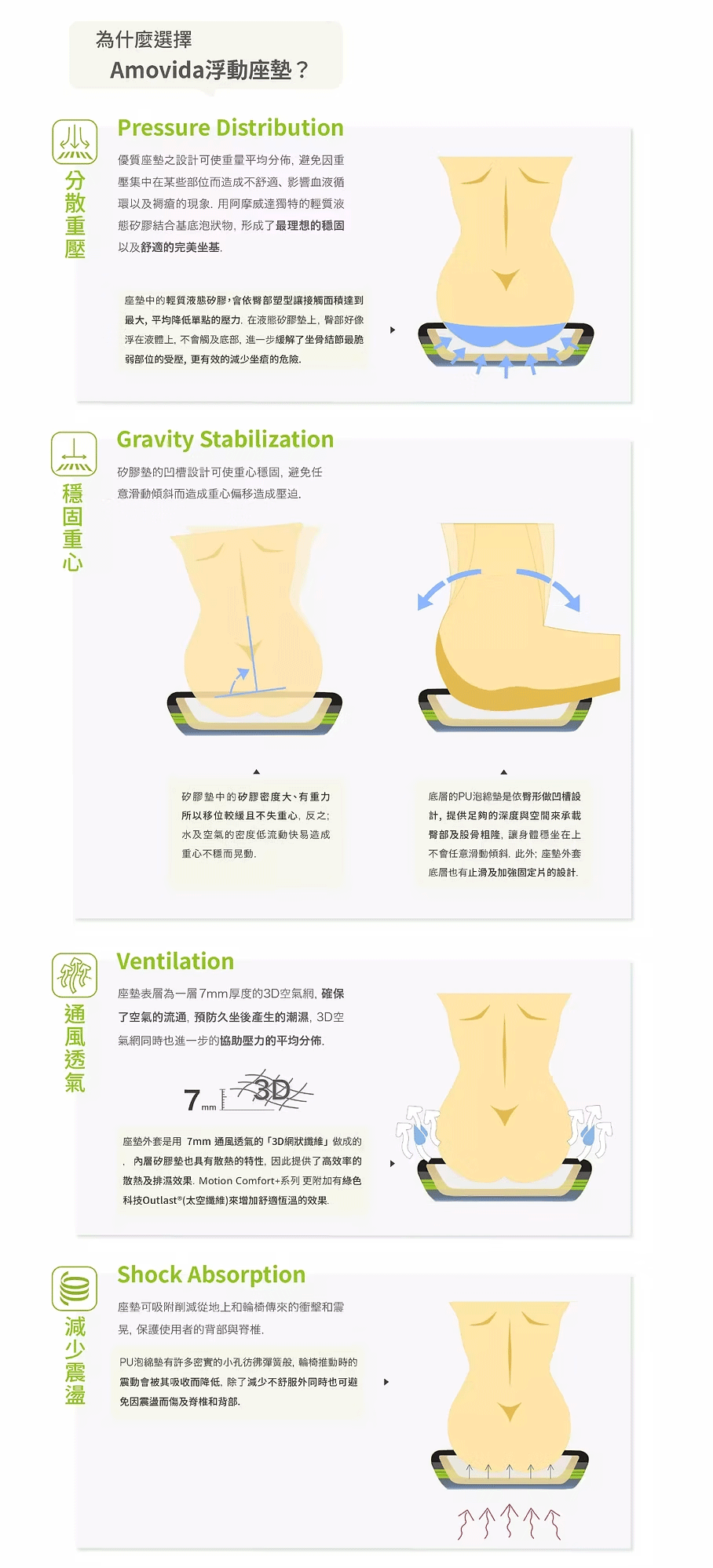 amovida-product-description_02.gif